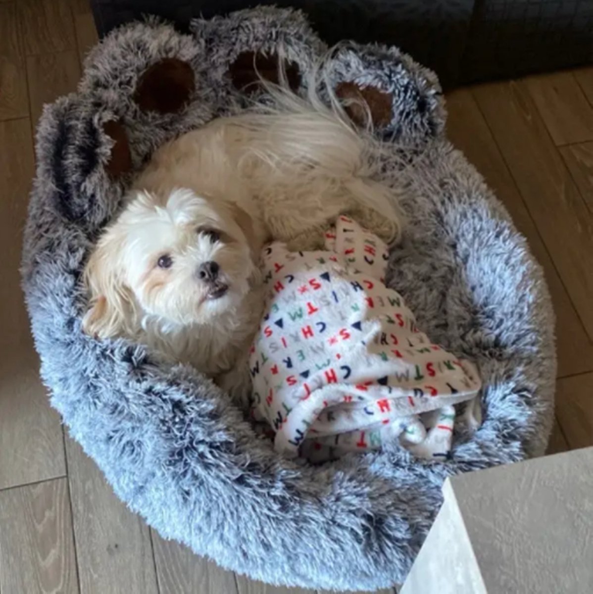 Tailfriends® hondenmand-hondenkussen voor honden-luxe Hondenbed berenklauw -Zachte Haren-donker grijs-70cm