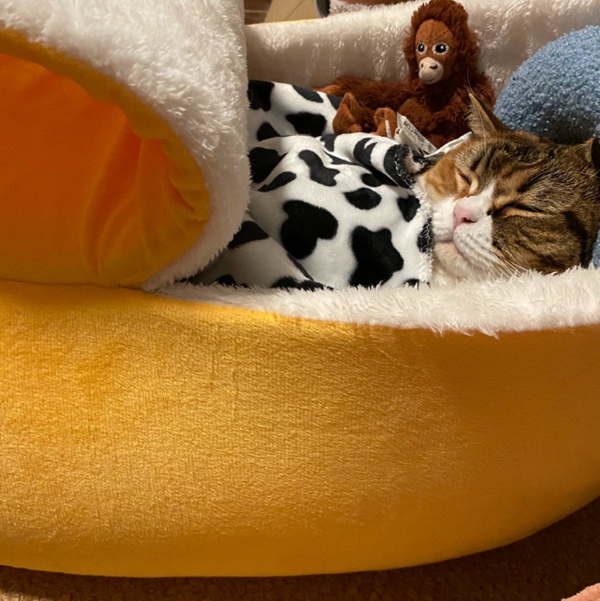 Tailfriends® banaan kattenmand- kattenmat- hondenmand-dog bed--geel met wit inhoud-maat XL-80*30*24cm
