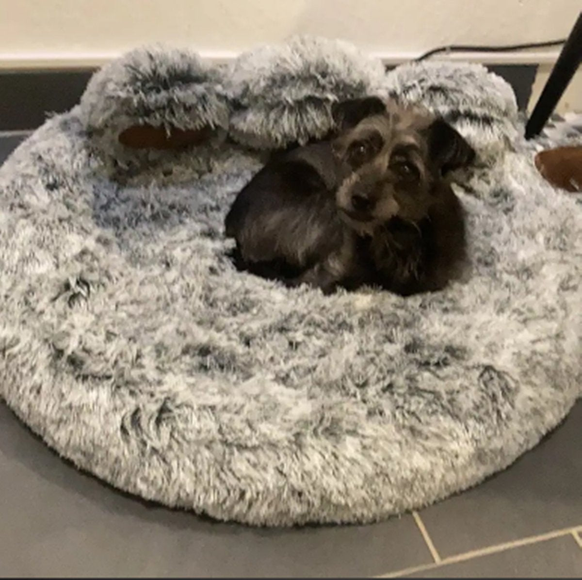 Tailfriends® hondenmand-hondenkussen voor honden-luxe Hondenbed berenklauw -Zachte Haren-donker grijs-70cm