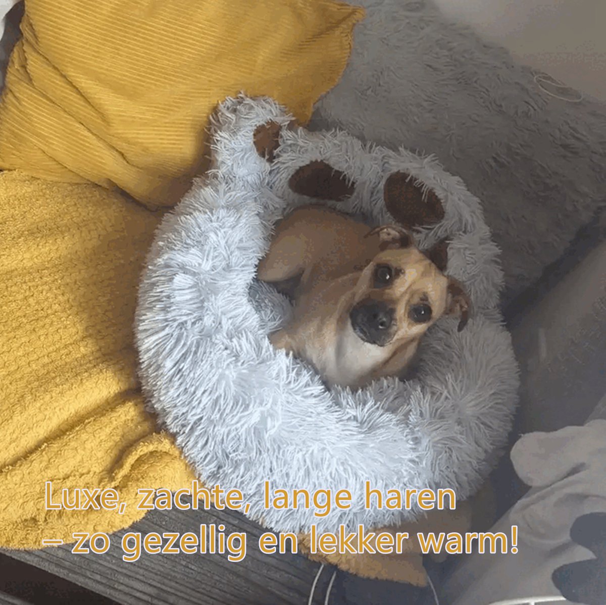 Tailfriends® Hundekorb - Hundekissen für Hunde - Luxus Hundebett Bärenklaue - Soft Hair - grau - 60cm