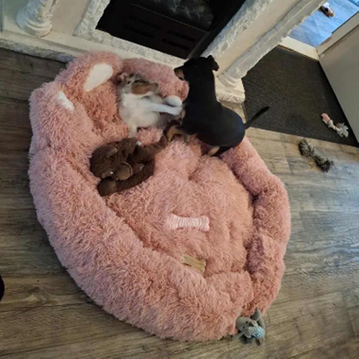 Tailfriends® hondenmand-hondenkussen voor honden-luxe Hondenbed berenklauw -Zachte Haren-roos-110cm