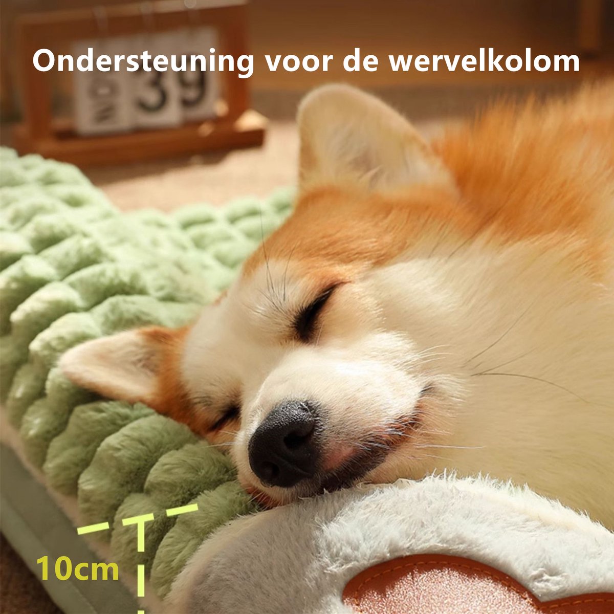 Tailfriends Orthopedisch hondenbed met kussen-Luxe Honden Mand & Bed-Benchkussen- Hondenkussen-wit/groen– L 60cm X 40cm
