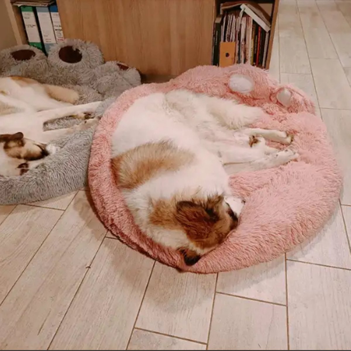 Tailfriends® hondenmand-hondenkussen voor honden-luxe Hondenbed berenklauw -Zachte Haren-roos-110cm