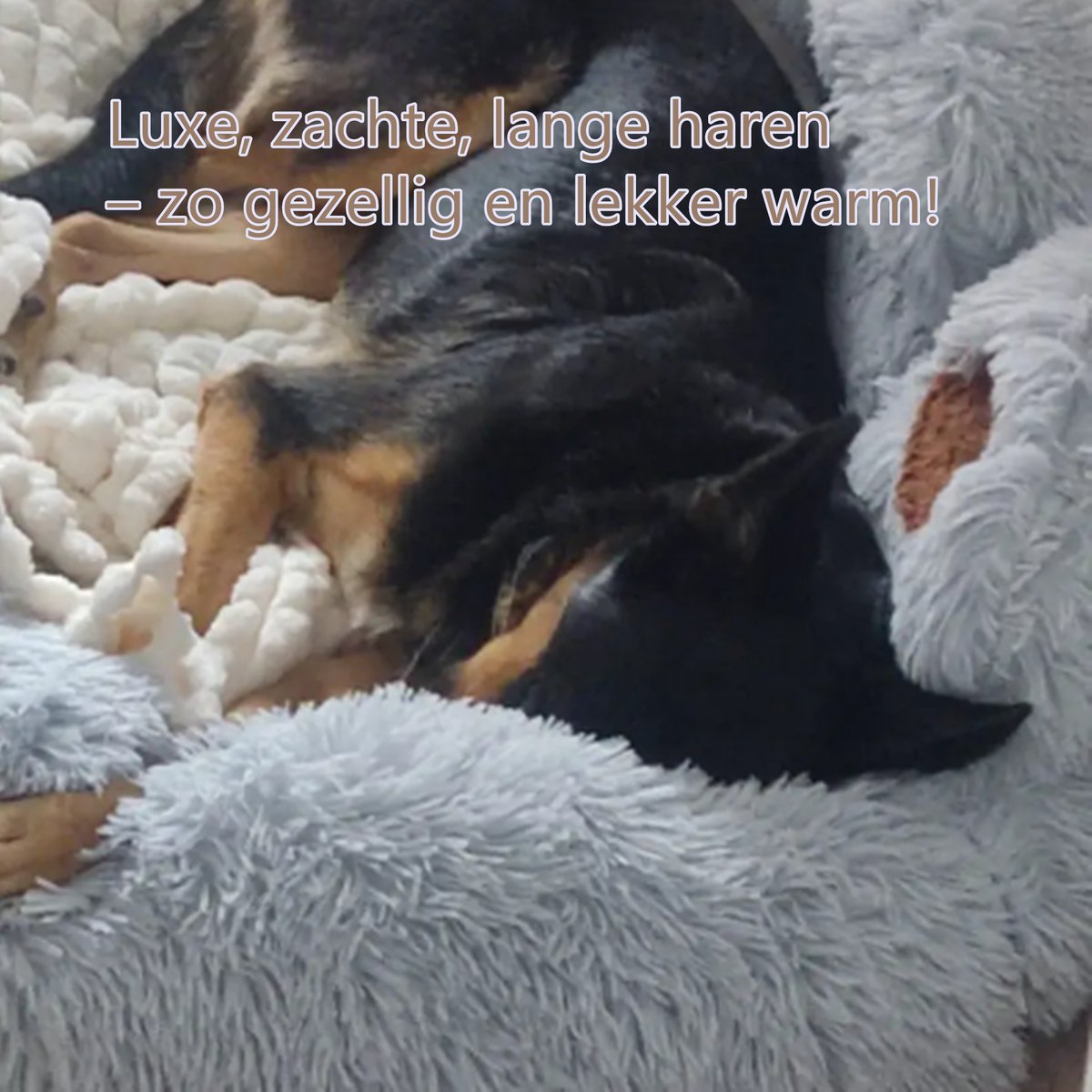 Tailfriends® hondenmand-hondenkussen voor honden-luxe Hondenbed berenklauw -Zachte Haren-grijs-110cm