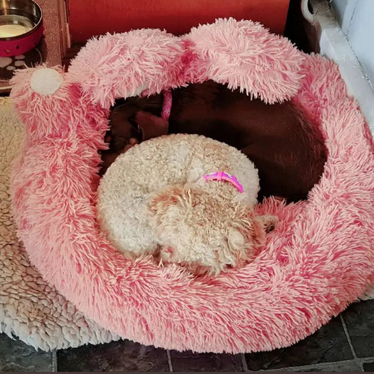 Tailfriends® hondenmand-hondenkussen voor honden-luxe Hondenbed berenklauw -Zachte Haren-roos-70cm