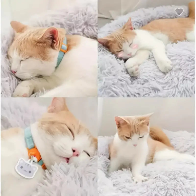 Tailfriends® hondmand-honden donutmand-kattenmand-donker grijs-50cm