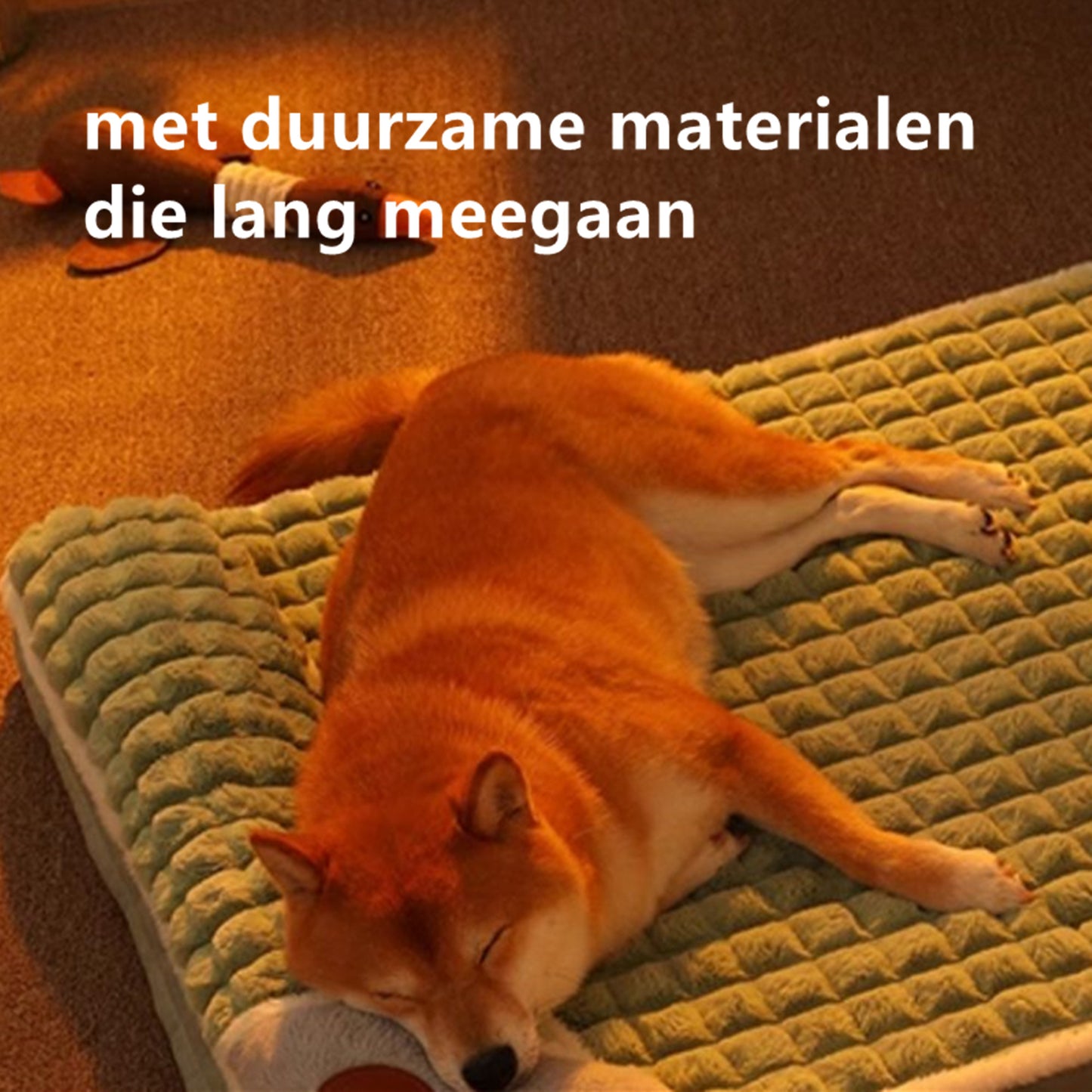Tailfriends Orthopedisch hondenbed met kussen-Luxe Honden Mand & Bed-Benchkussen- Hondenkussen-wit/groen– L 60cm X 40cm