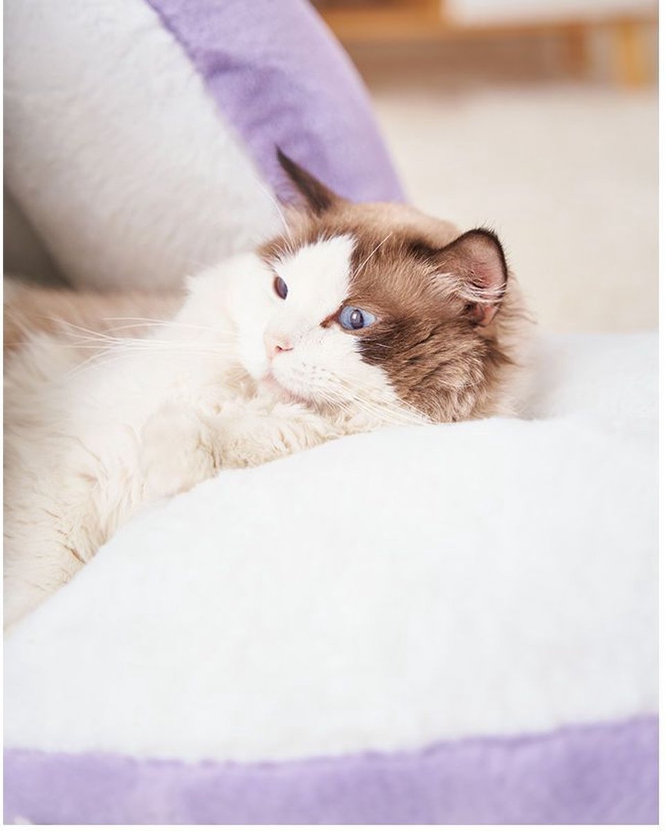 Tailfriends kattenmand-mangosteen kattenhuisje-hondmanden--lila/wit-40*38cm-L