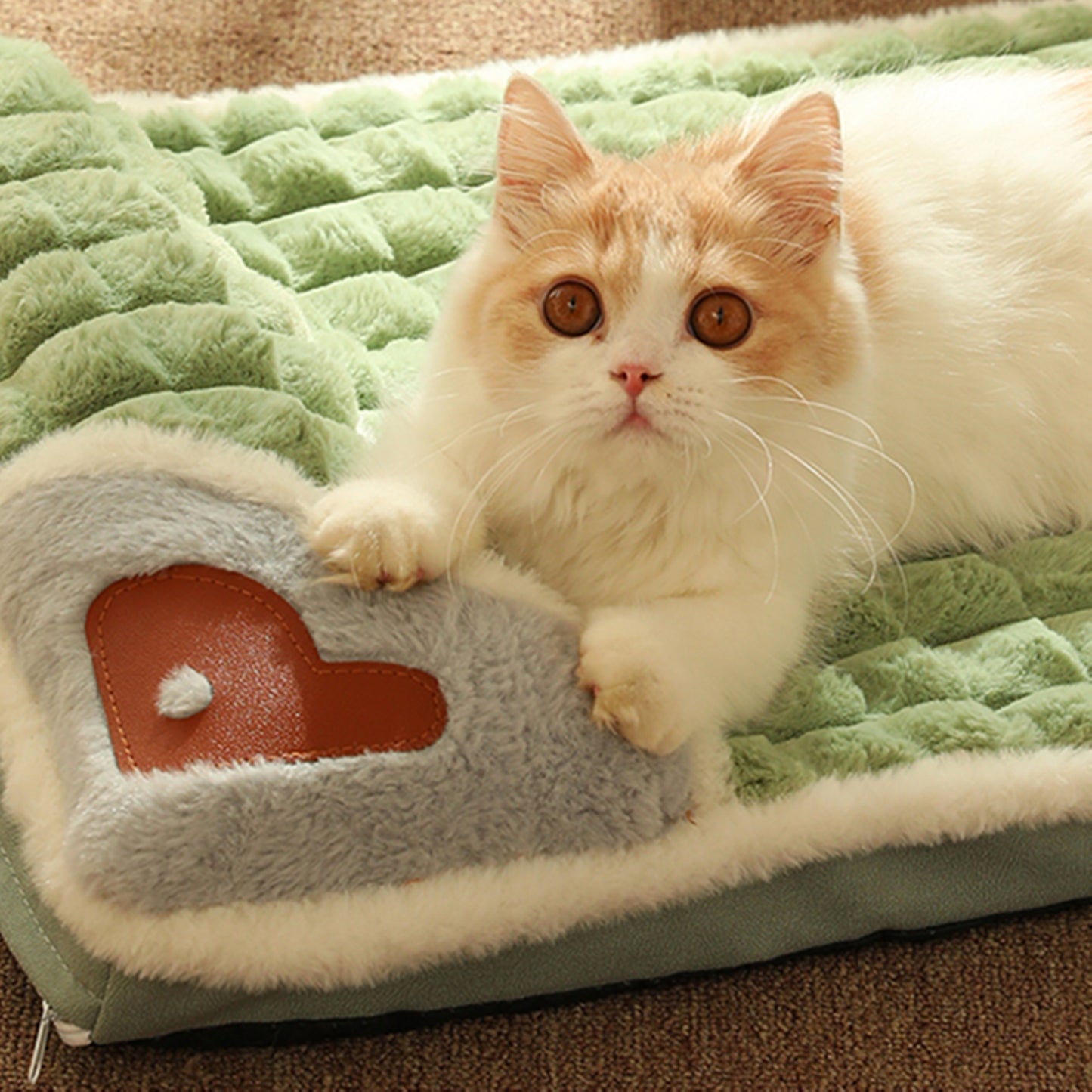 Tailfriends Orthopedisch hondenbed met kussen-Luxe Honden Mand & Bed-Benchkussen- Hondenkussen-wit/groen– L 60cm X 40cm