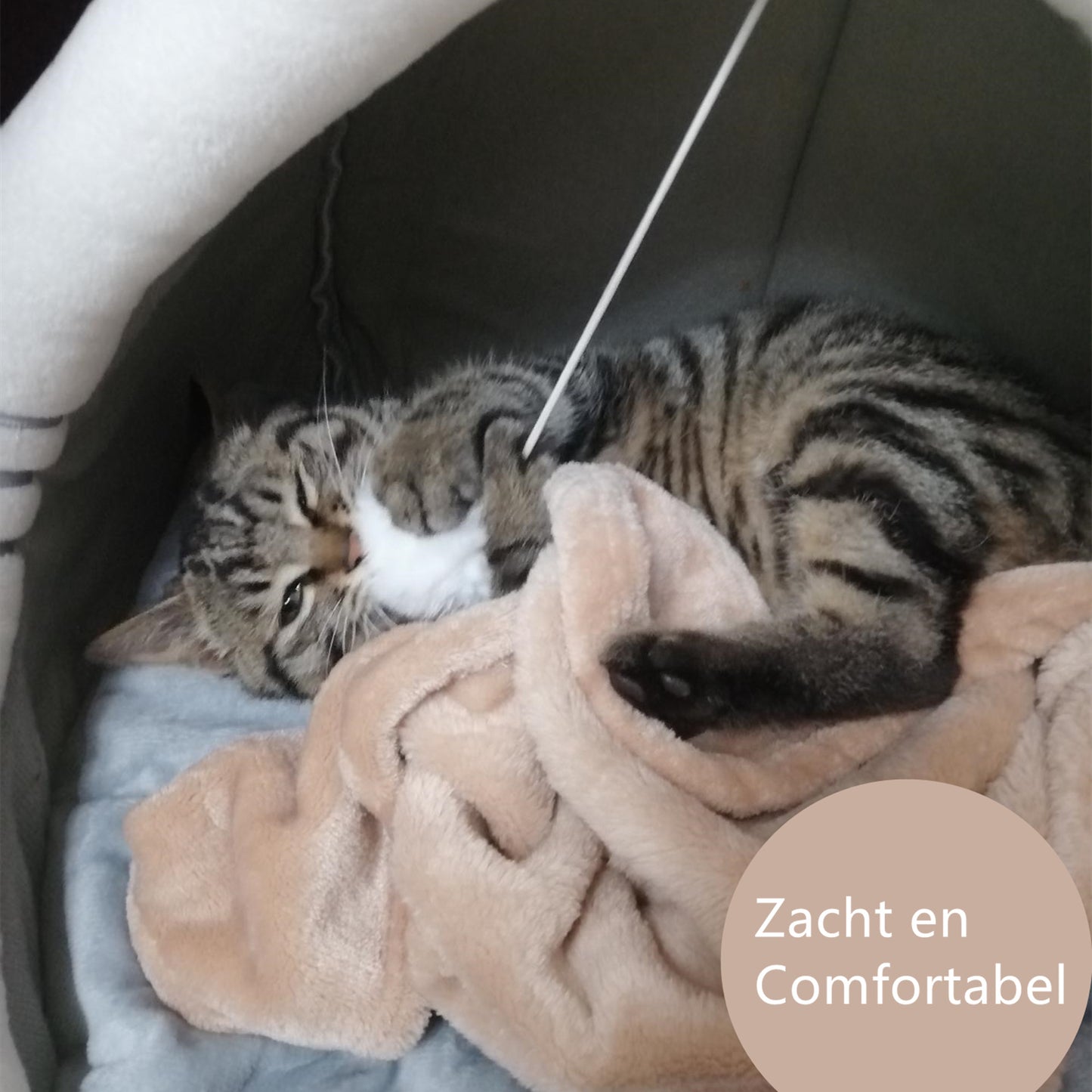 Tailfriends kattenmand met balletje-kattenhuisje-hondenbed-dogbed-kattenmat-maat XL-48*45*38cm