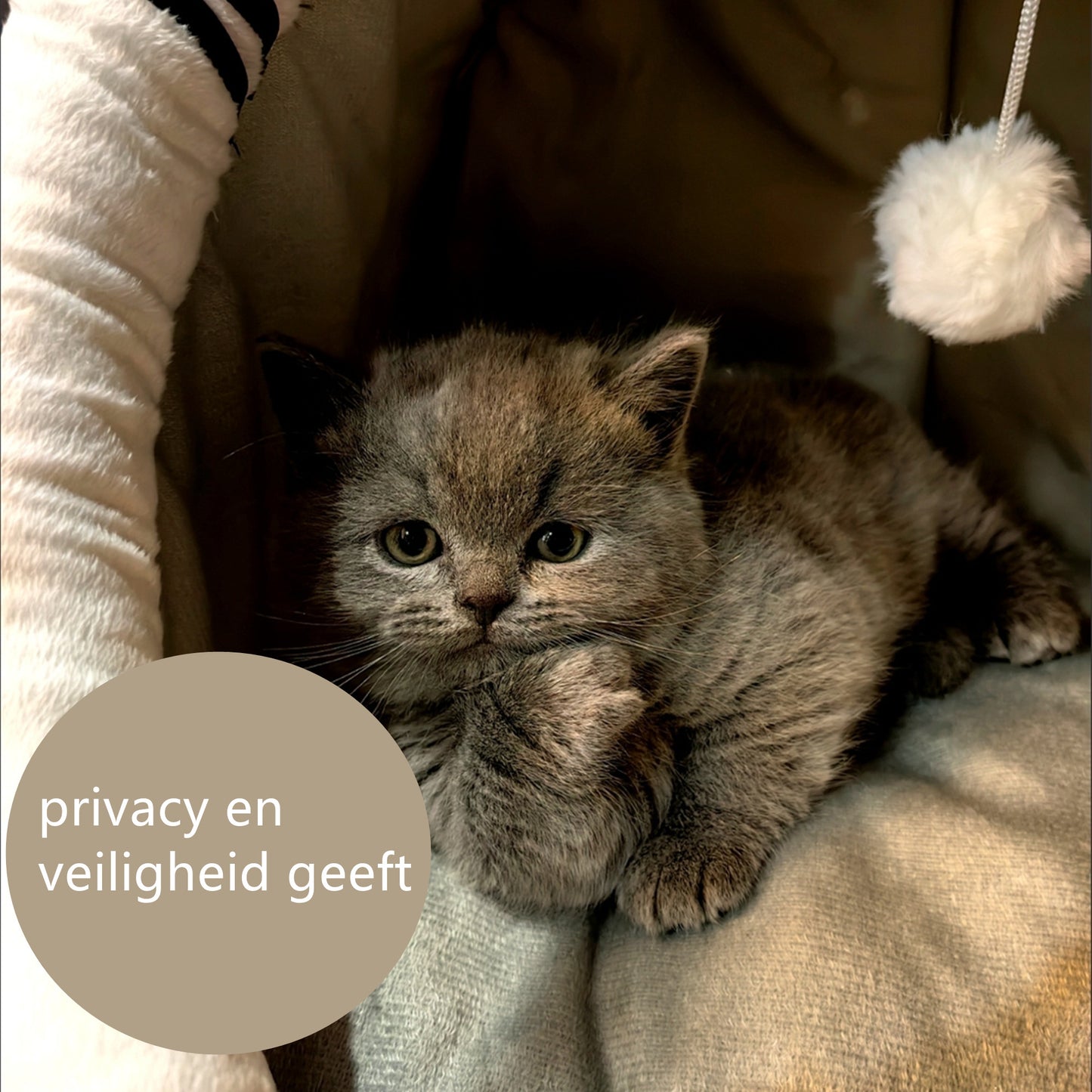 Tailfriends kattenmand met balletje-kattenhuisje-hondenbed-dogbed-kattenmat-maat XL-48*45*38cm
