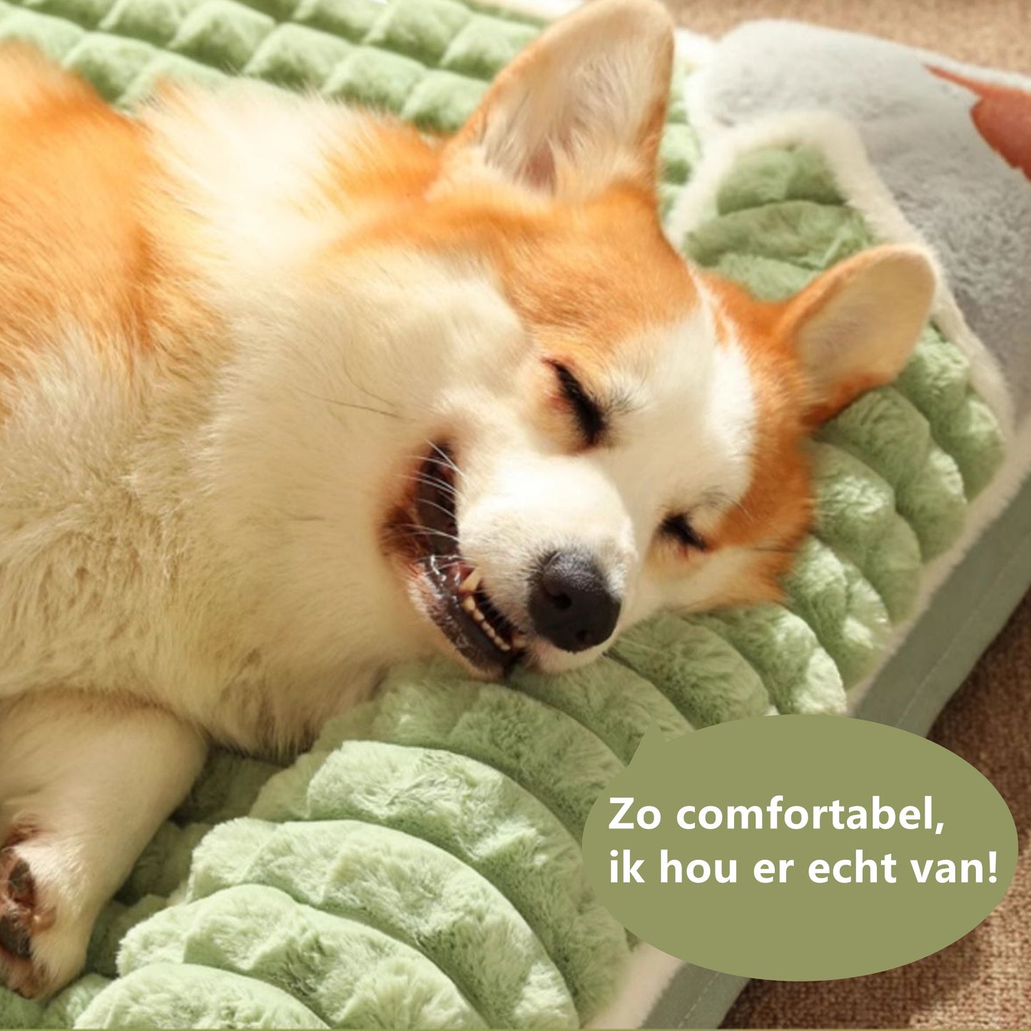 Tailfriends Orthopedisch hondenbed met kussen-Luxe Honden Mand & Bed-Benchkussen- Hondenkussen-wit/groen– L 60cm X 40cm