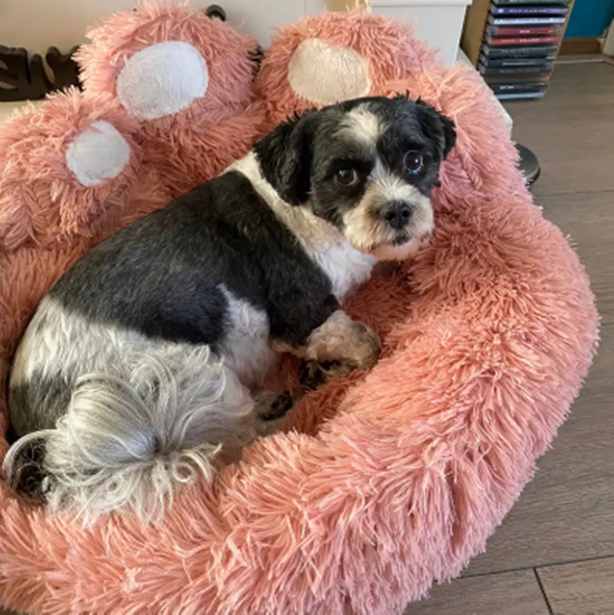 Tailfriends hondenmand-hondenkussen voor honden-luxe Hondenbed berenklauw -Zachte Haren-roos-60cm