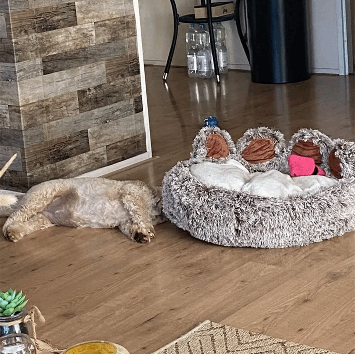 Tailfriends® hondenmand-hondenkussen voor honden-luxe Hondenbed berenklauw -Zachte Haren-Beige-70cm