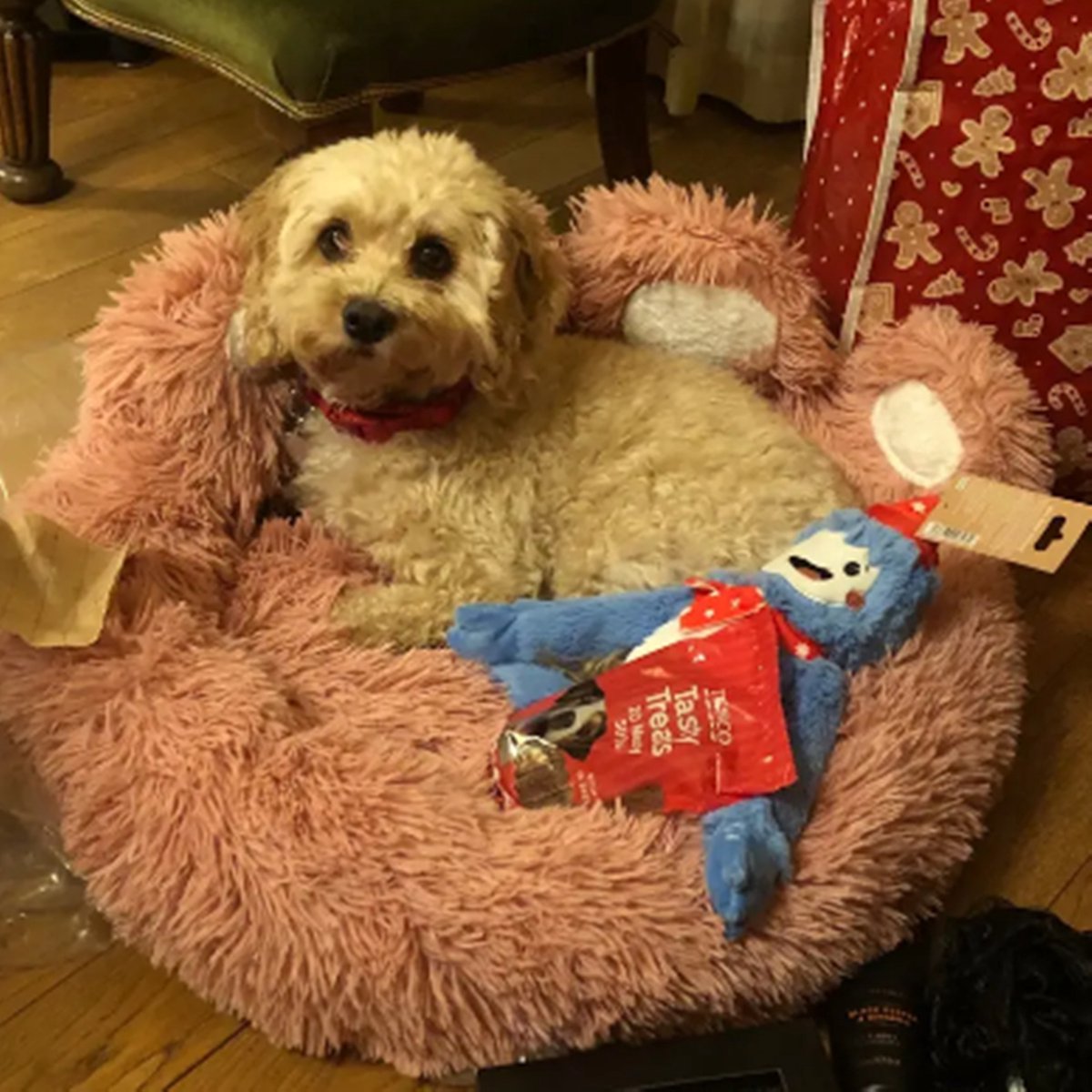 Tailfriends hondenmand-hondenkussen voor honden-luxe Hondenbed berenklauw -Zachte Haren-roos-60cm