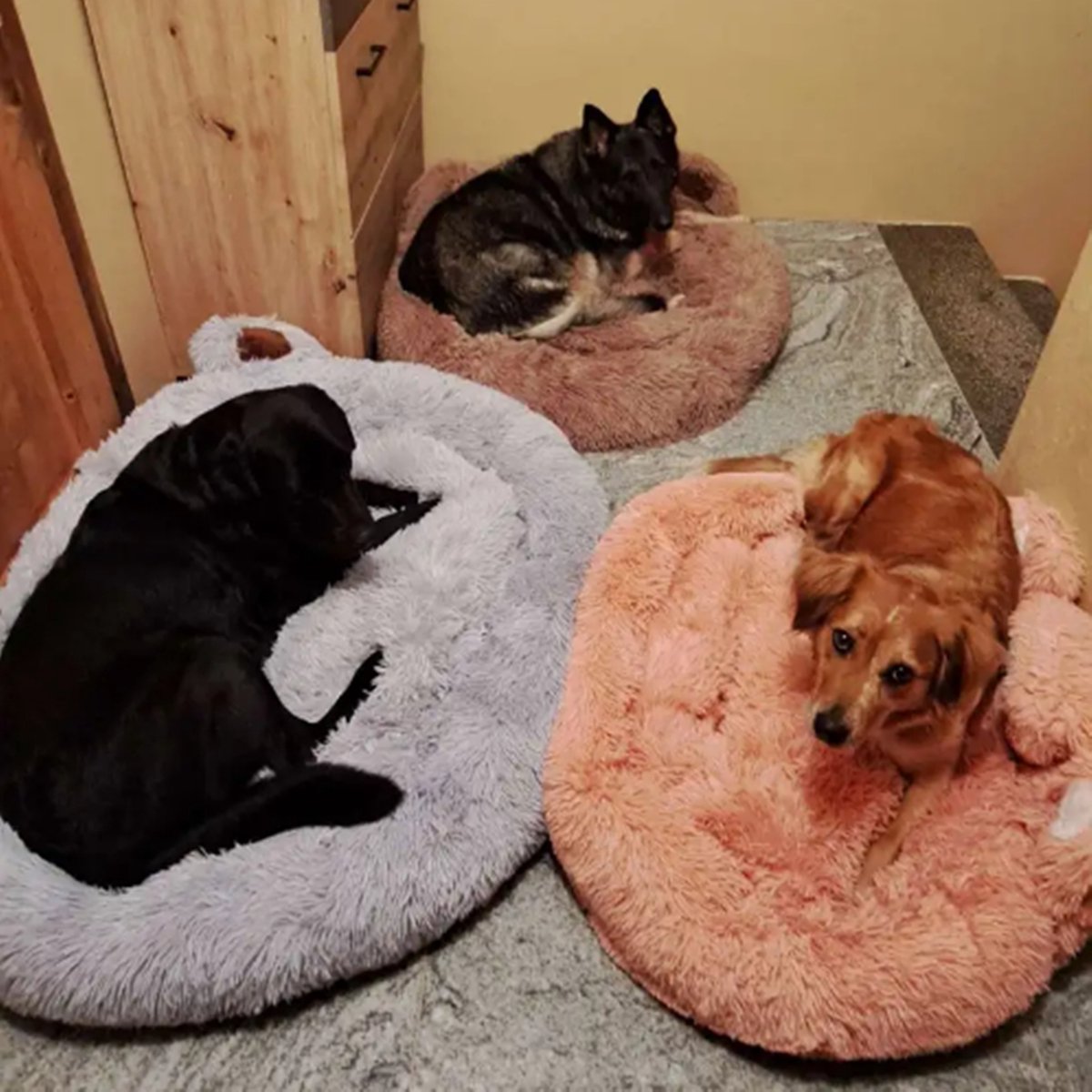 Tailfriends hondenmand-hondenkussen voor honden-luxe Hondenbed berenklauw -Zachte Haren-roos-90cm