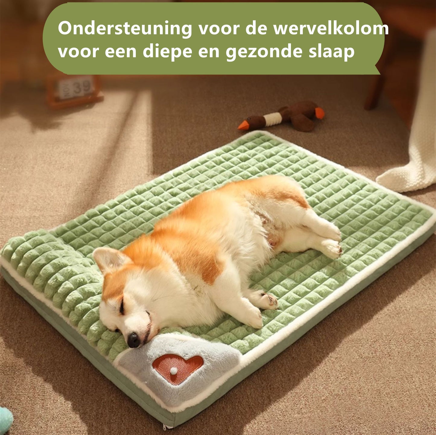 Tailfriends Orthopedisch hondenbed met kussen-Luxe Honden Mand & Bed-Benchkussen- Hondenkussen-wit/groen– L 60cm X 40cm