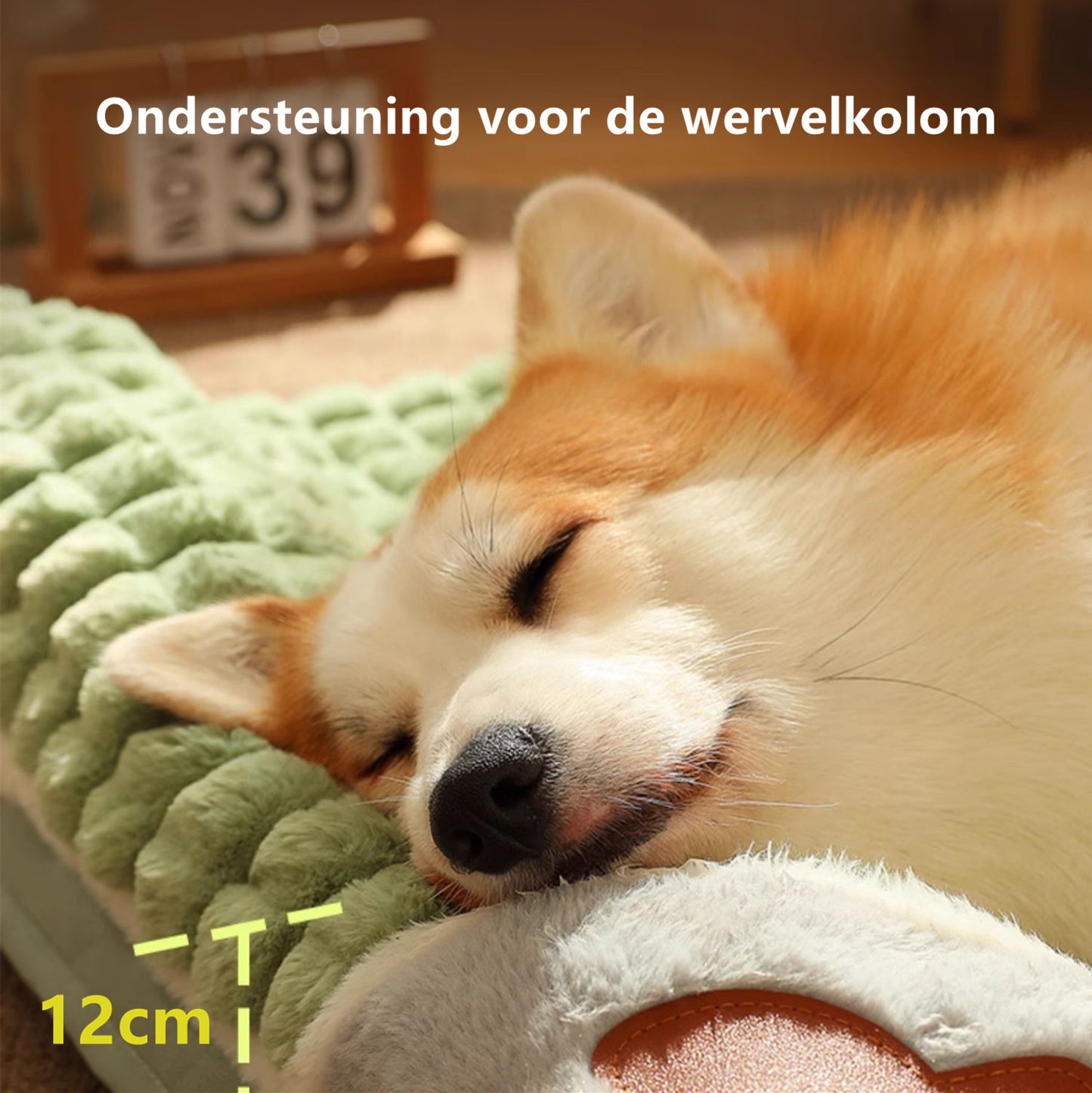 Tailfriends Orthopedisch hondenbed met kussen-Luxe Honden Mand & Bed-Benchkussen- Hondenkussen-XXL-100cm X 70cm